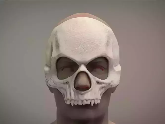 Halloween mask Skull mask Masquerade  3D print model