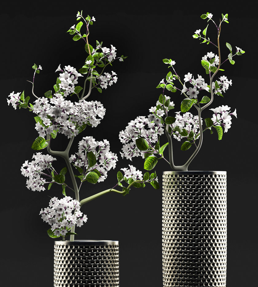 Flower Vase Set 3D model_1