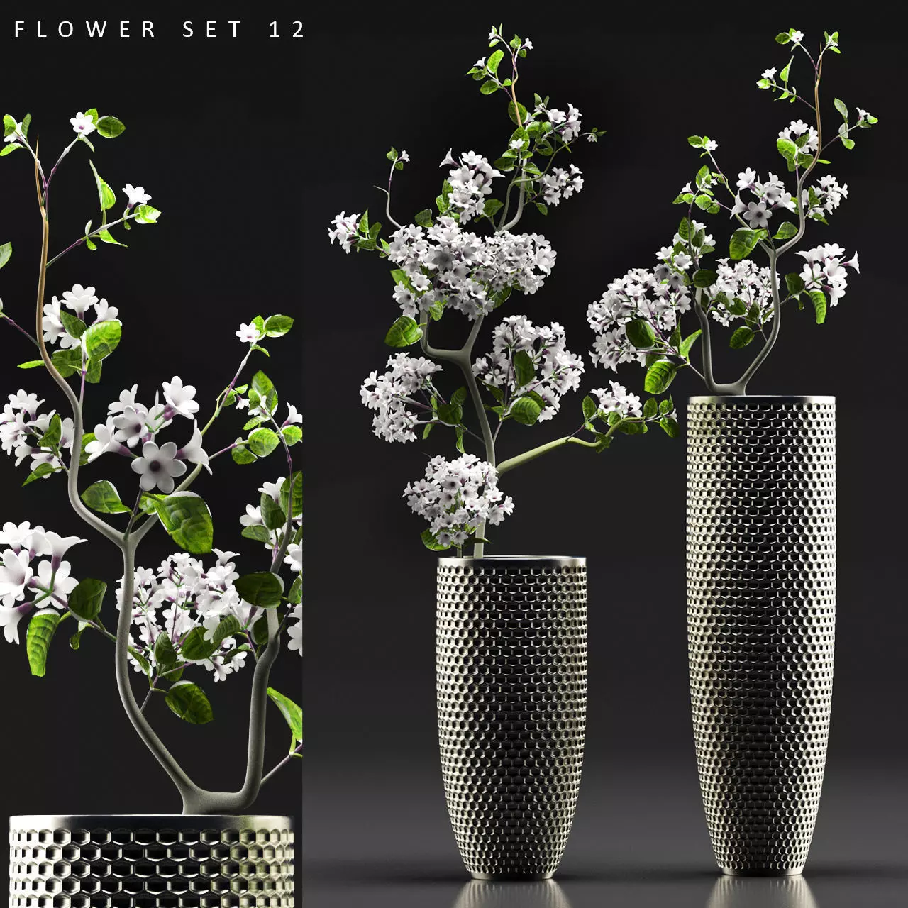 Flower Vase Set 3D model_0