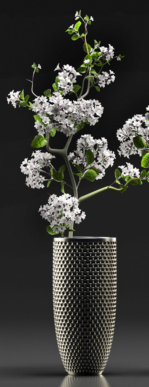Flower Vase Set 3D model_3