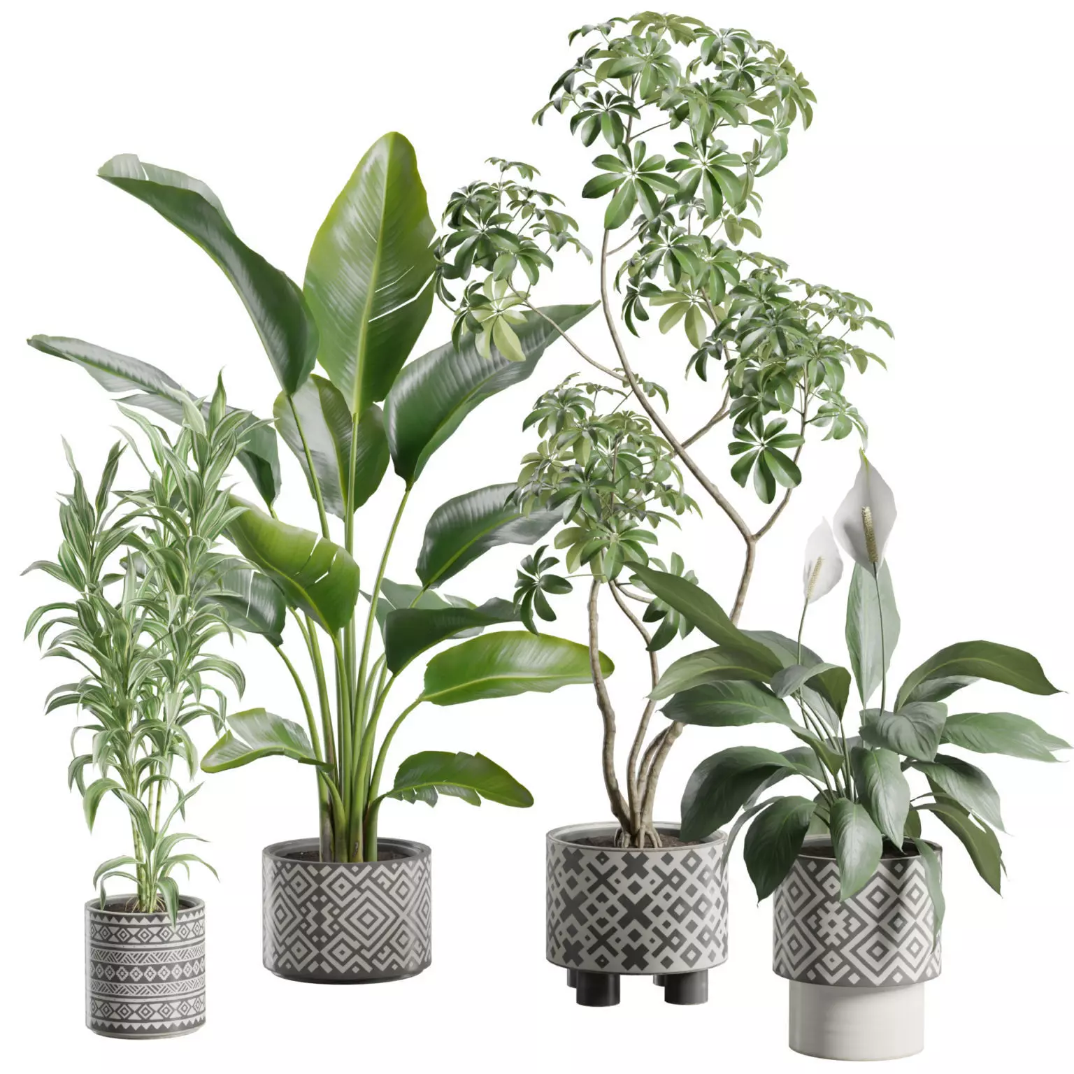 Indoor Plants Pack 102 3D model