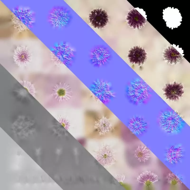 Anydrafts Bellis perennis Atlas 05 Texture_8