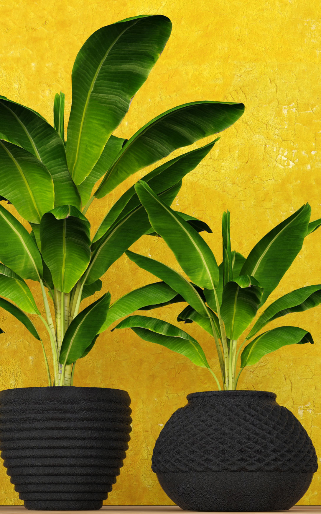 Banana Tree 3D model_3