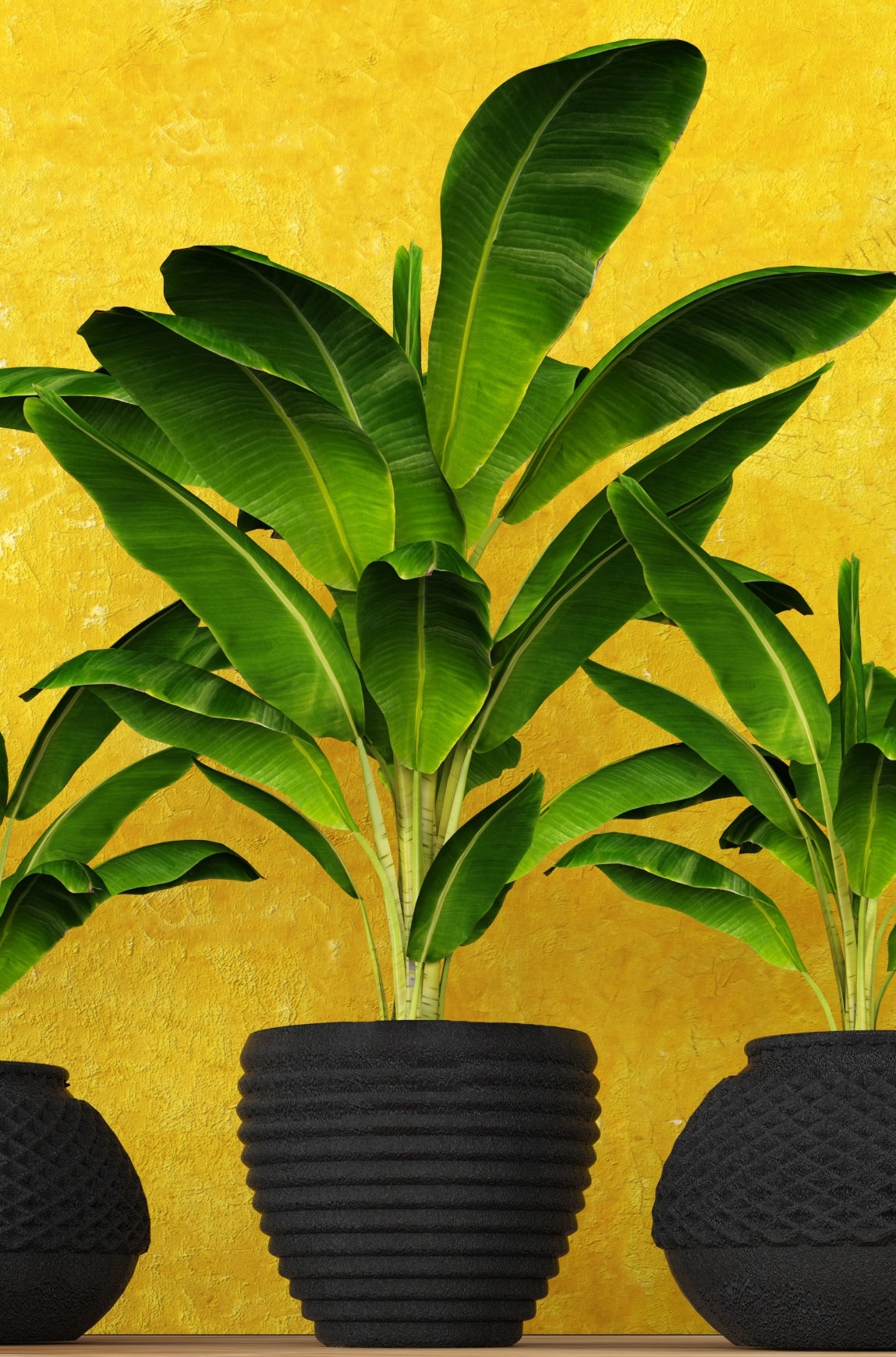 Banana Tree 3D model_1