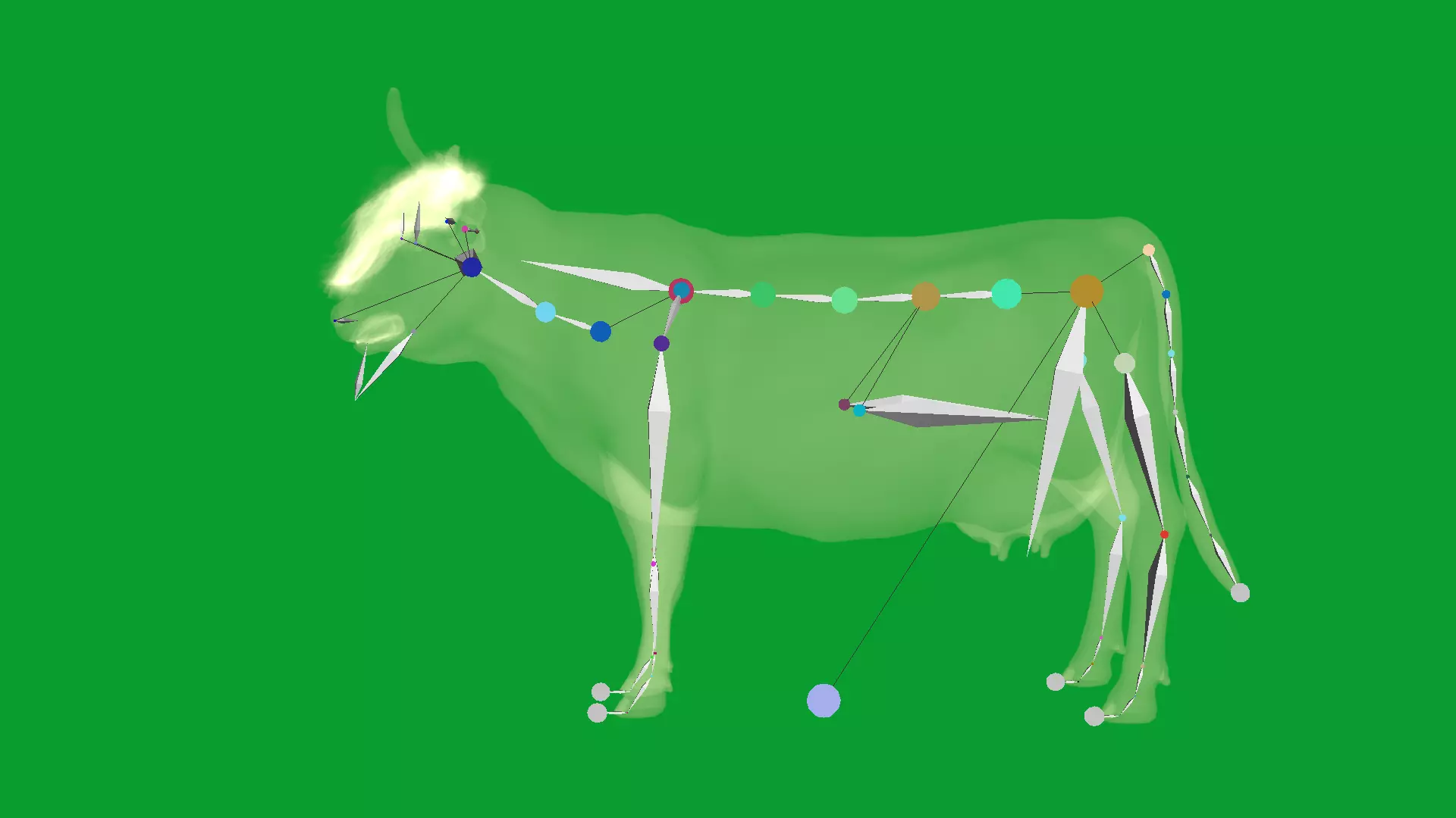 Highland Cattle Low-poly 3D model_17