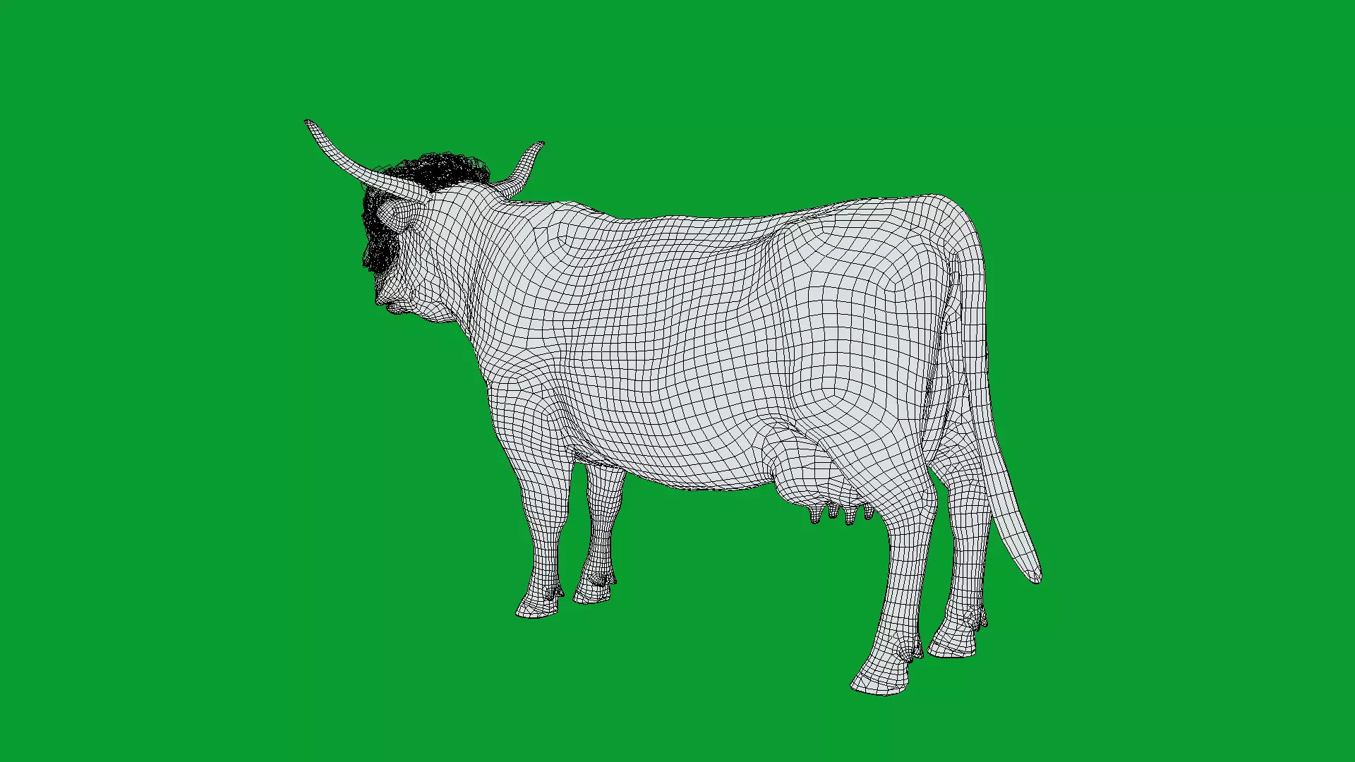 Highland Cattle Low-poly 3D model_34