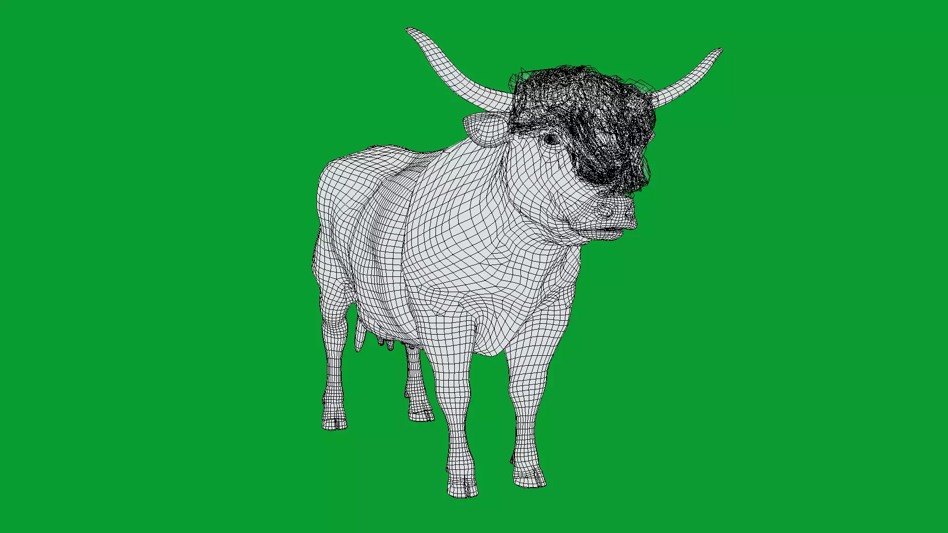 Highland Cattle Low-poly 3D model_26