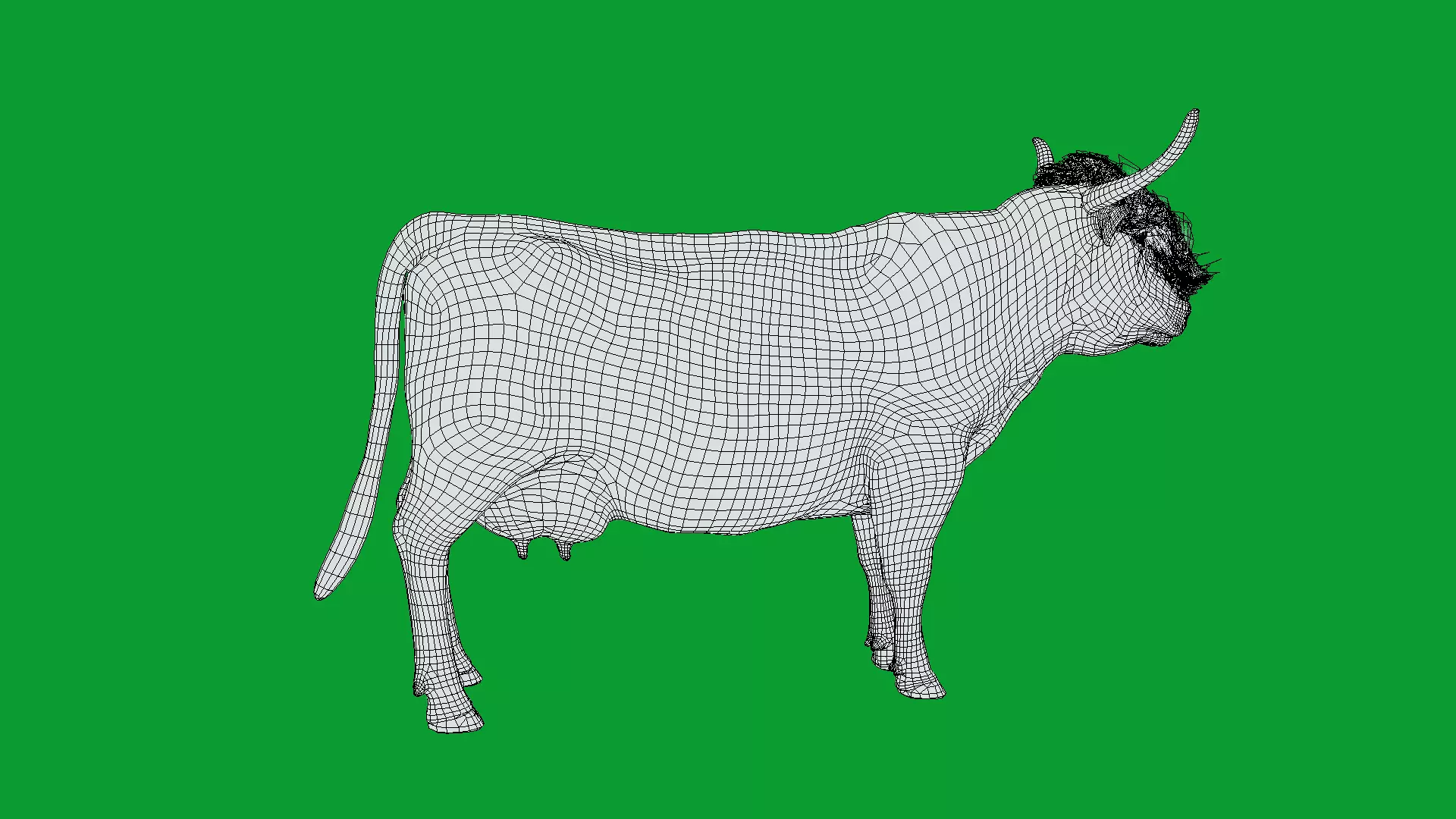 Highland Cattle Low-poly 3D model_32