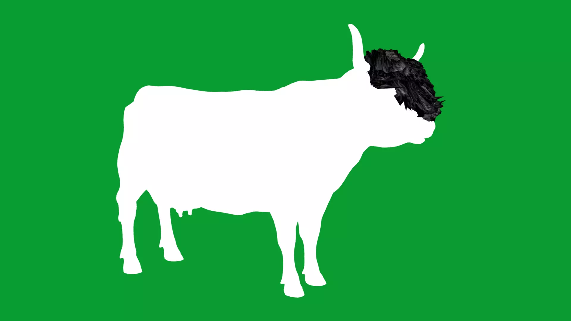 Highland Cattle Low-poly 3D model_19