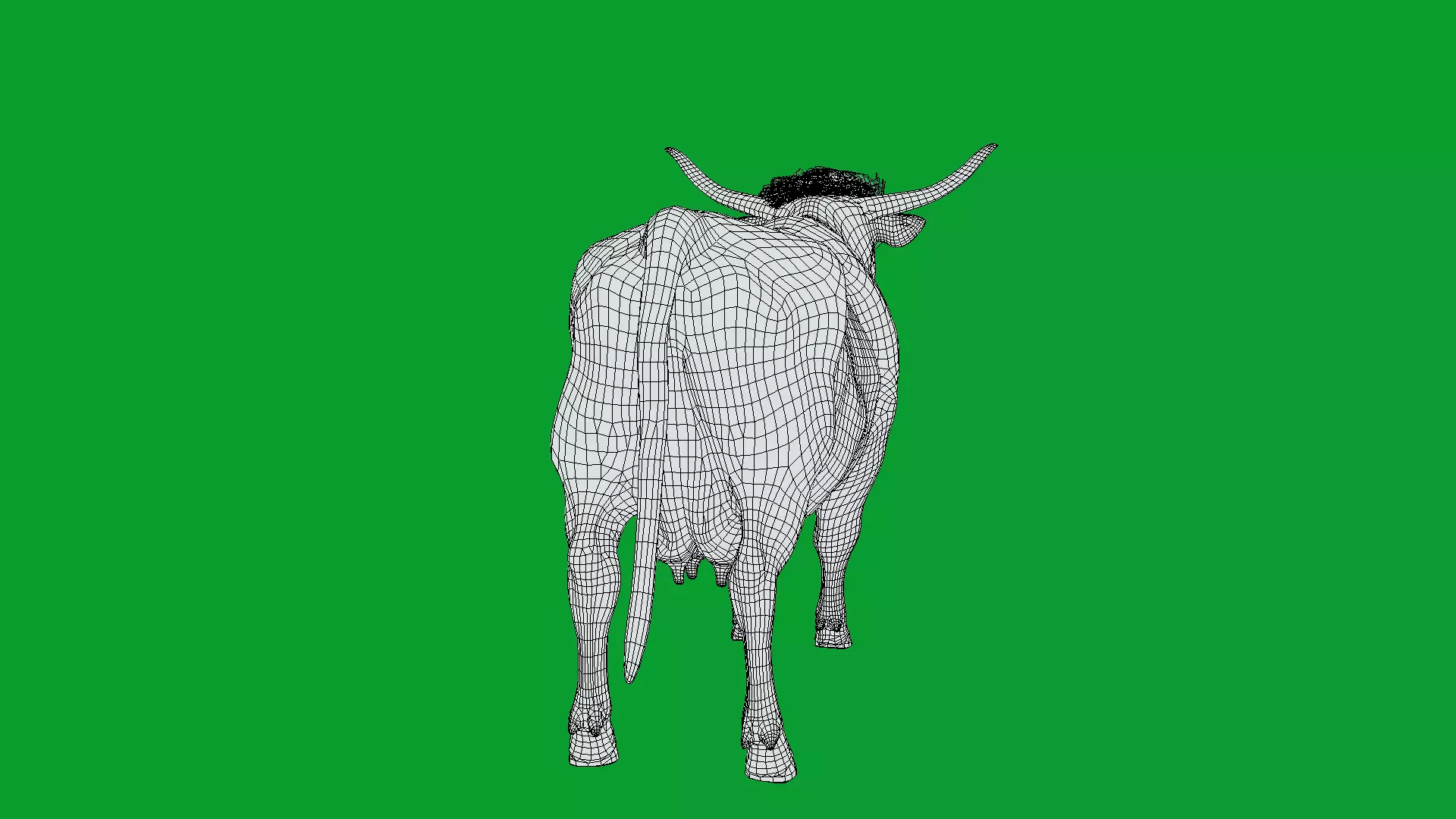 Highland Cattle Low-poly 3D model_33