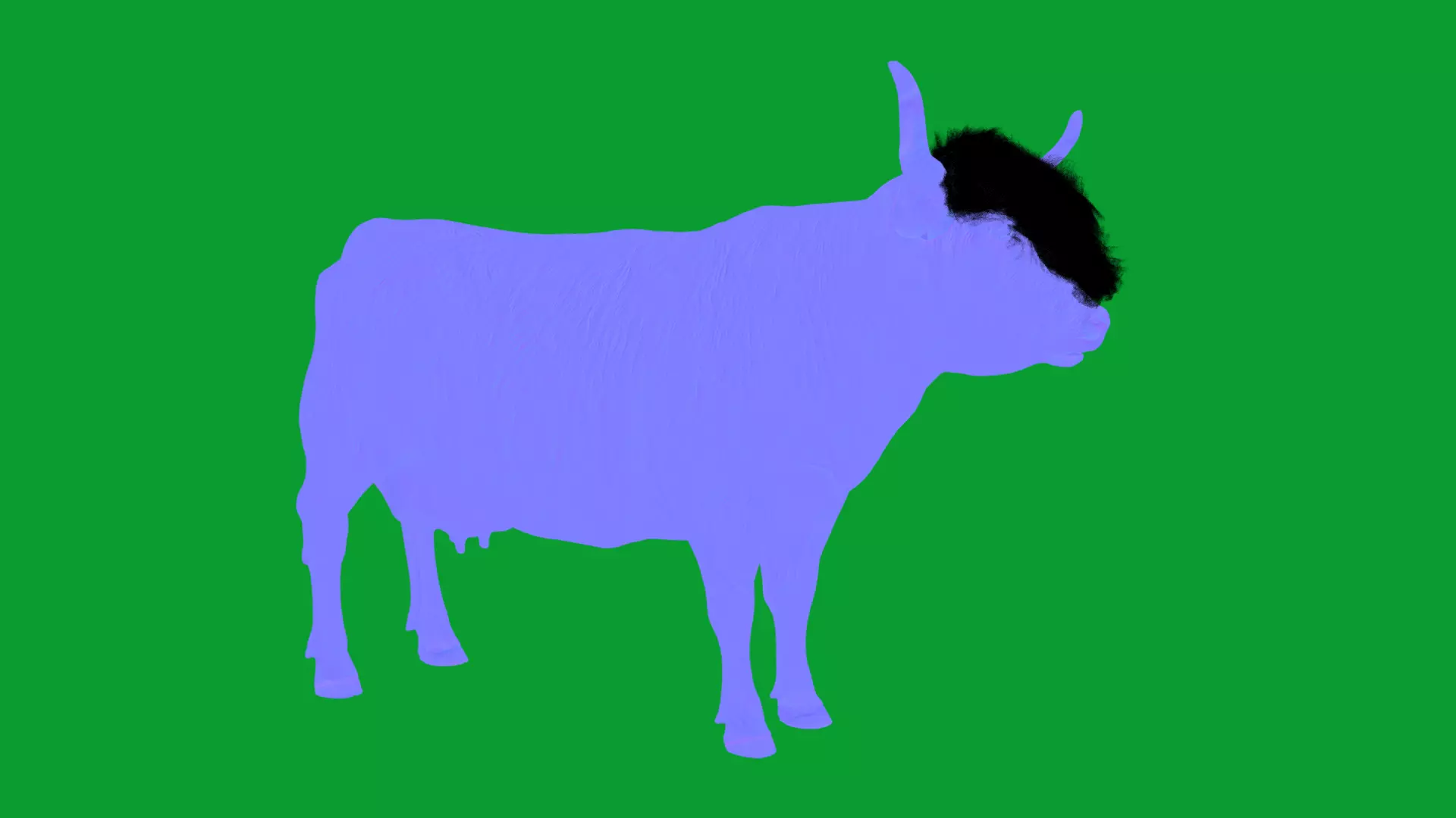 Highland Cattle Low-poly 3D model_27