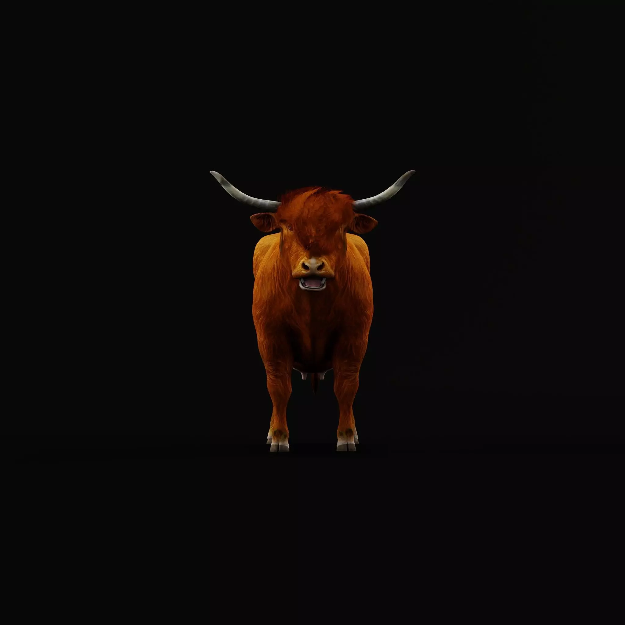 Highland Cattle Low-poly 3D model_14
