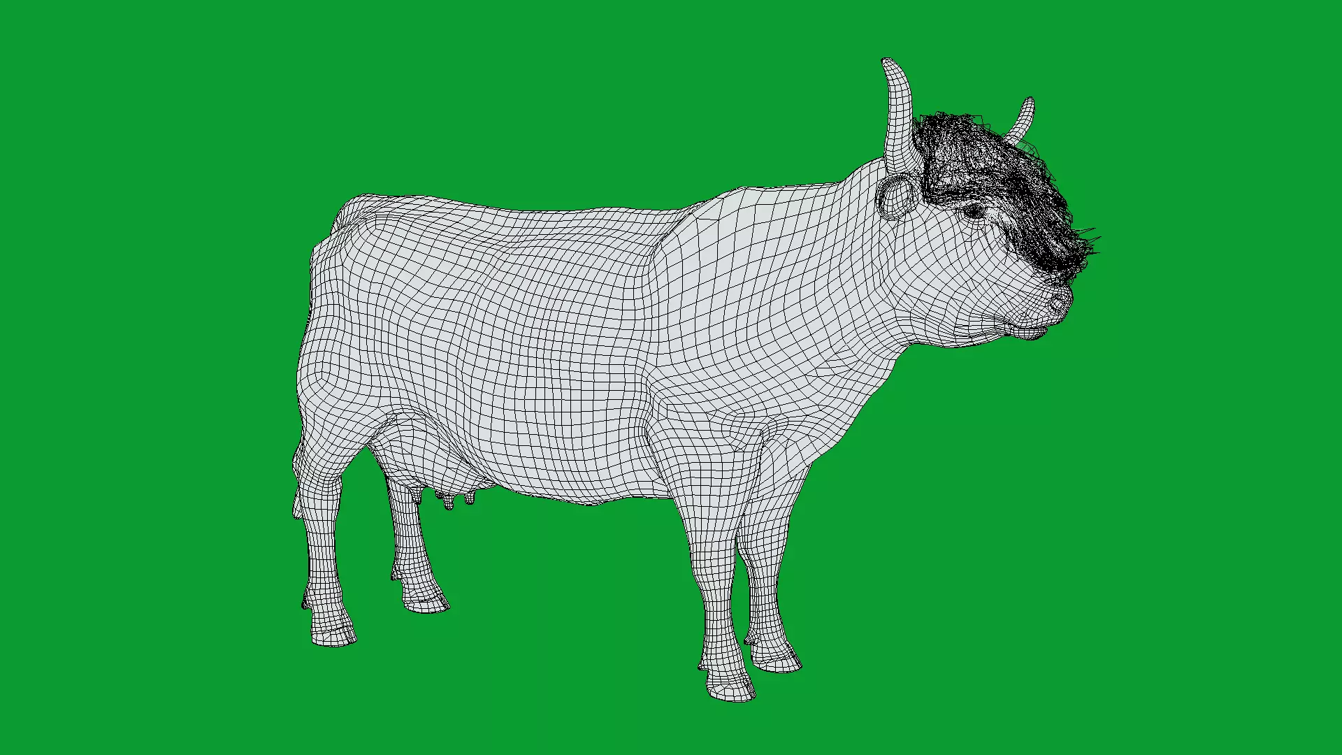 Highland Cattle Low-poly 3D model_29