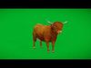 Highland Cattle Low-poly 3D model_1