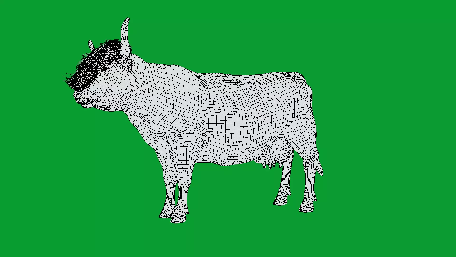 Highland Cattle Low-poly 3D model_36