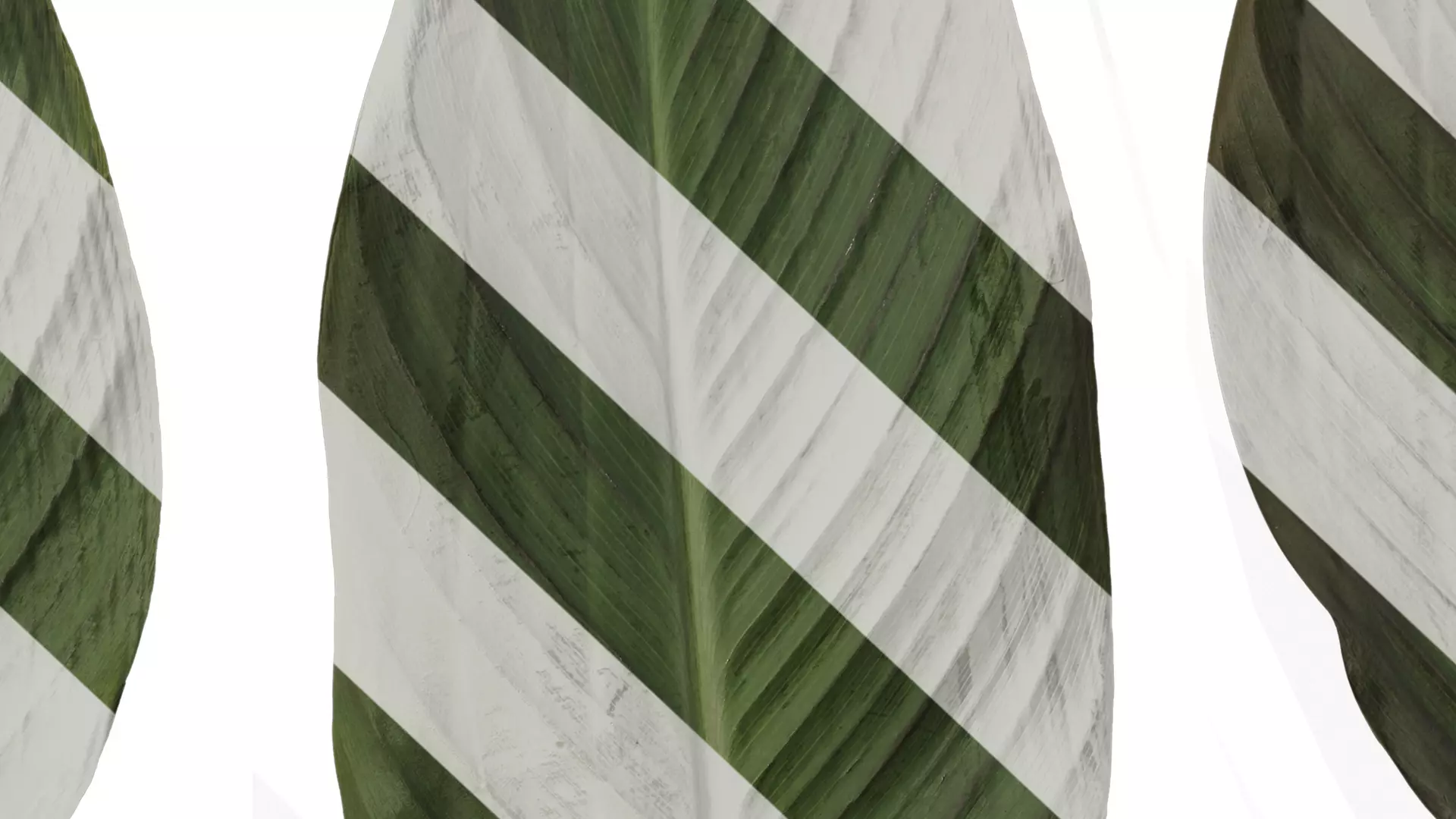 Anydrafts Canna indica Leaf 14 Texture_7