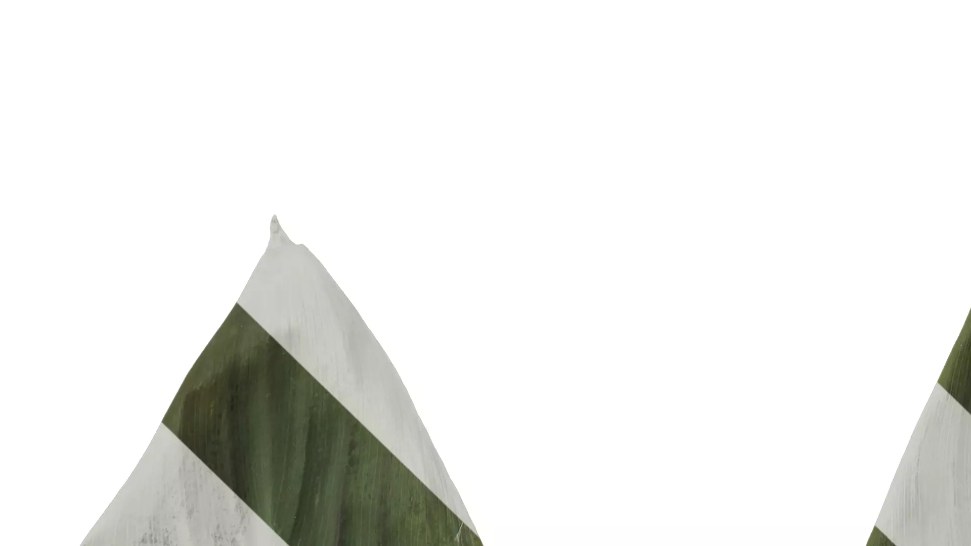 Anydrafts Canna indica Leaf 14 Texture_1