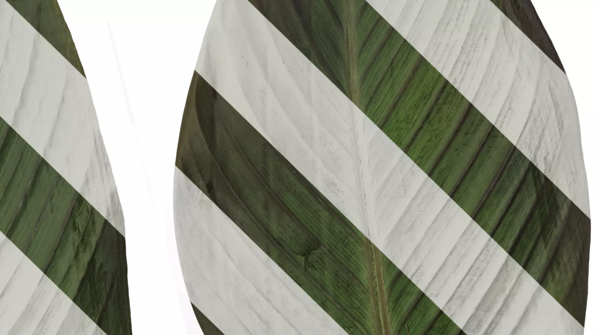 Anydrafts Canna indica Leaf 14 Texture_4