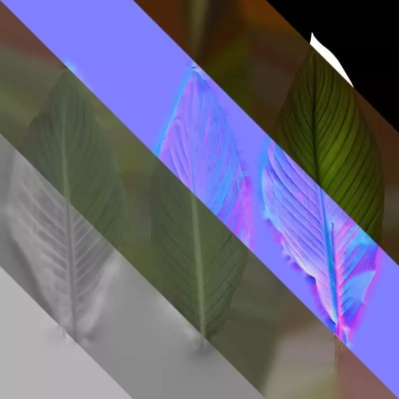 Anydrafts Canna indica Leaf 14 Texture_8