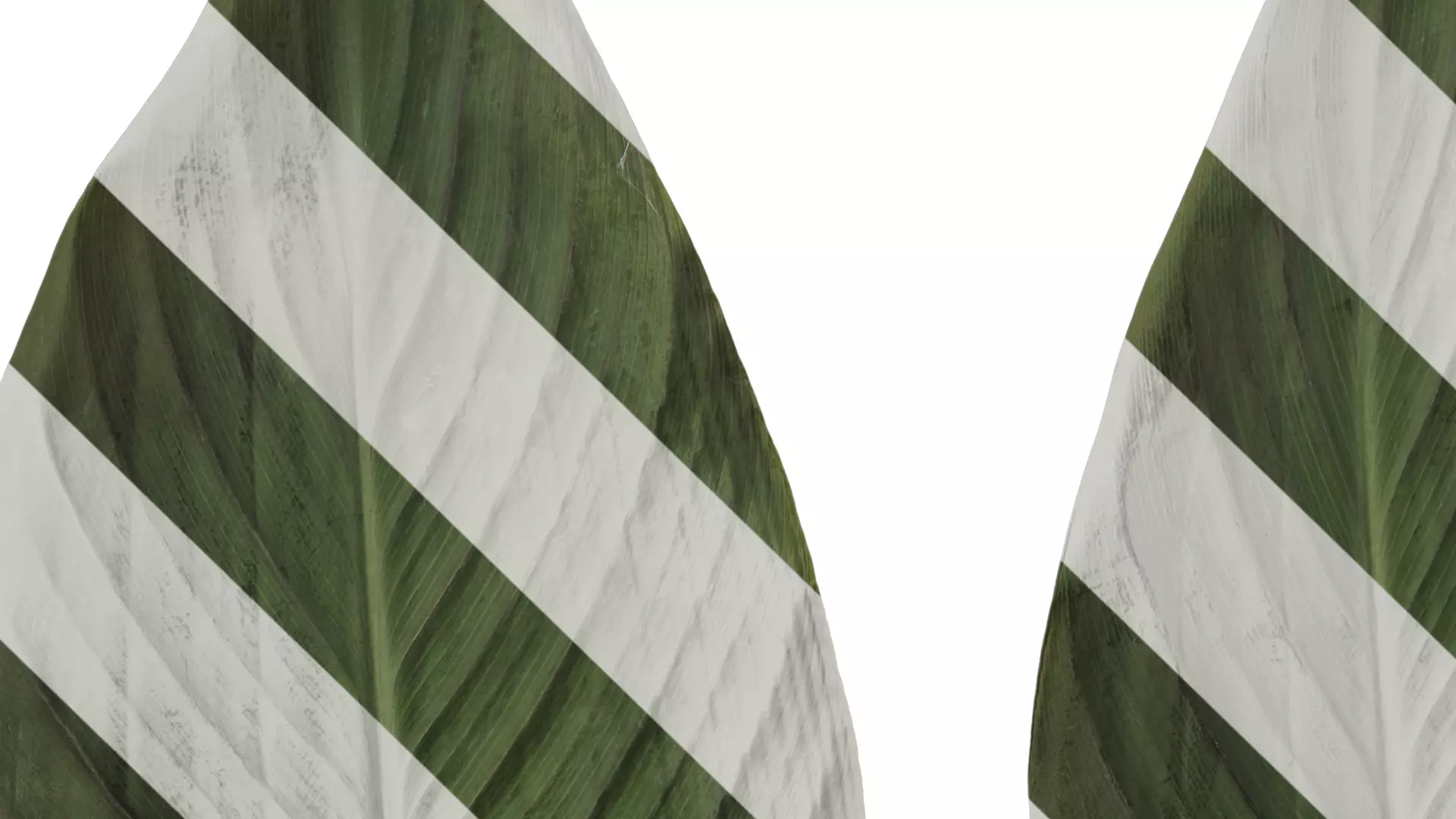 Anydrafts Canna indica Leaf 14 Texture_3