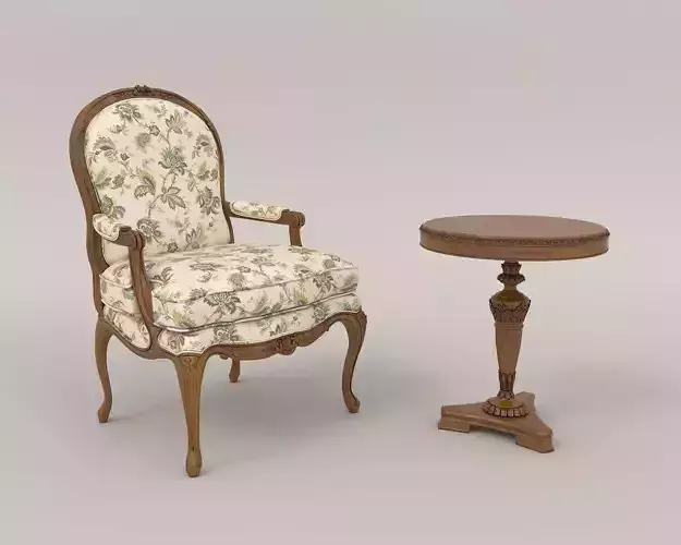 Classic European Style Coffee Table and Armchair 14