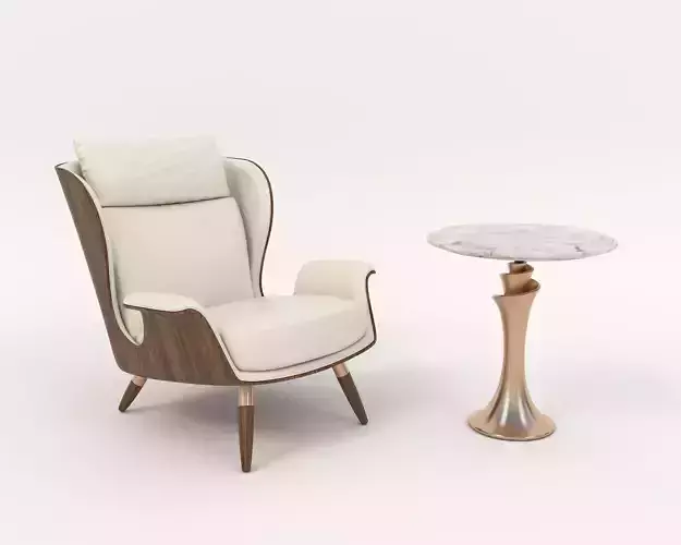Modern Coffee Table and Armchair Set 53