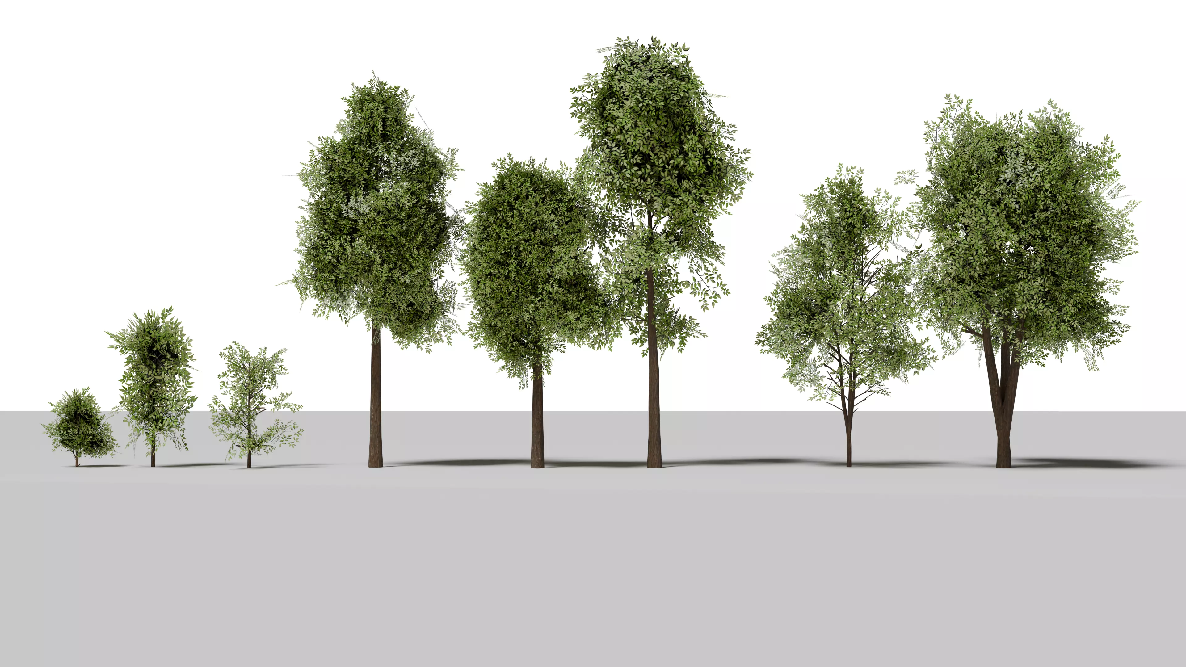 3D model tree lowpoly VR / AR / low-poly | CGTrader