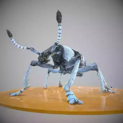 Beetle Eupholus Nickleri Weevil Low-poly 3D model