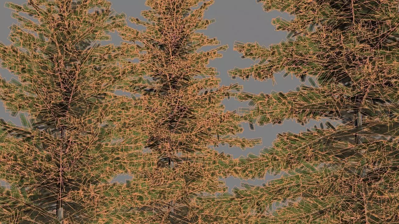 picea pungens low poly Low-poly 3D model_7