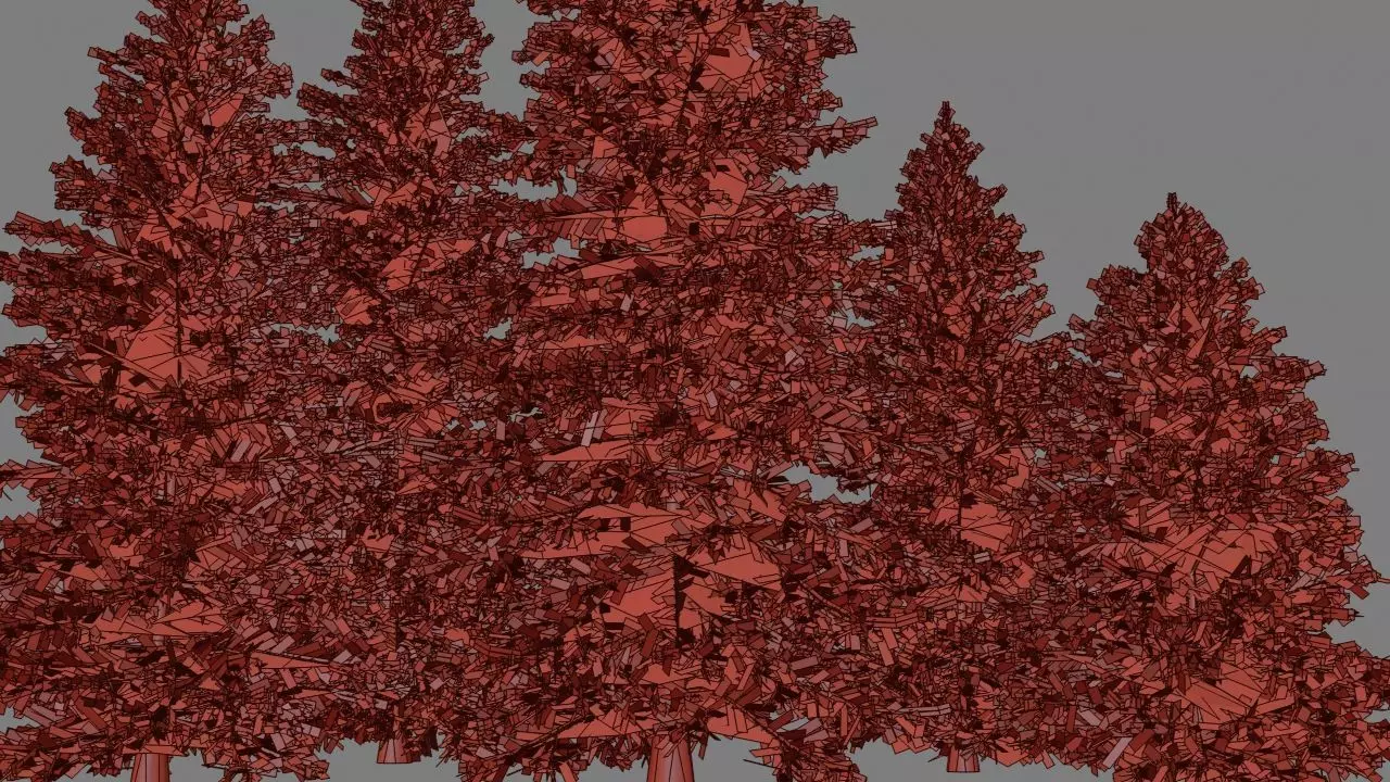 picea pungens low poly Low-poly 3D model_6