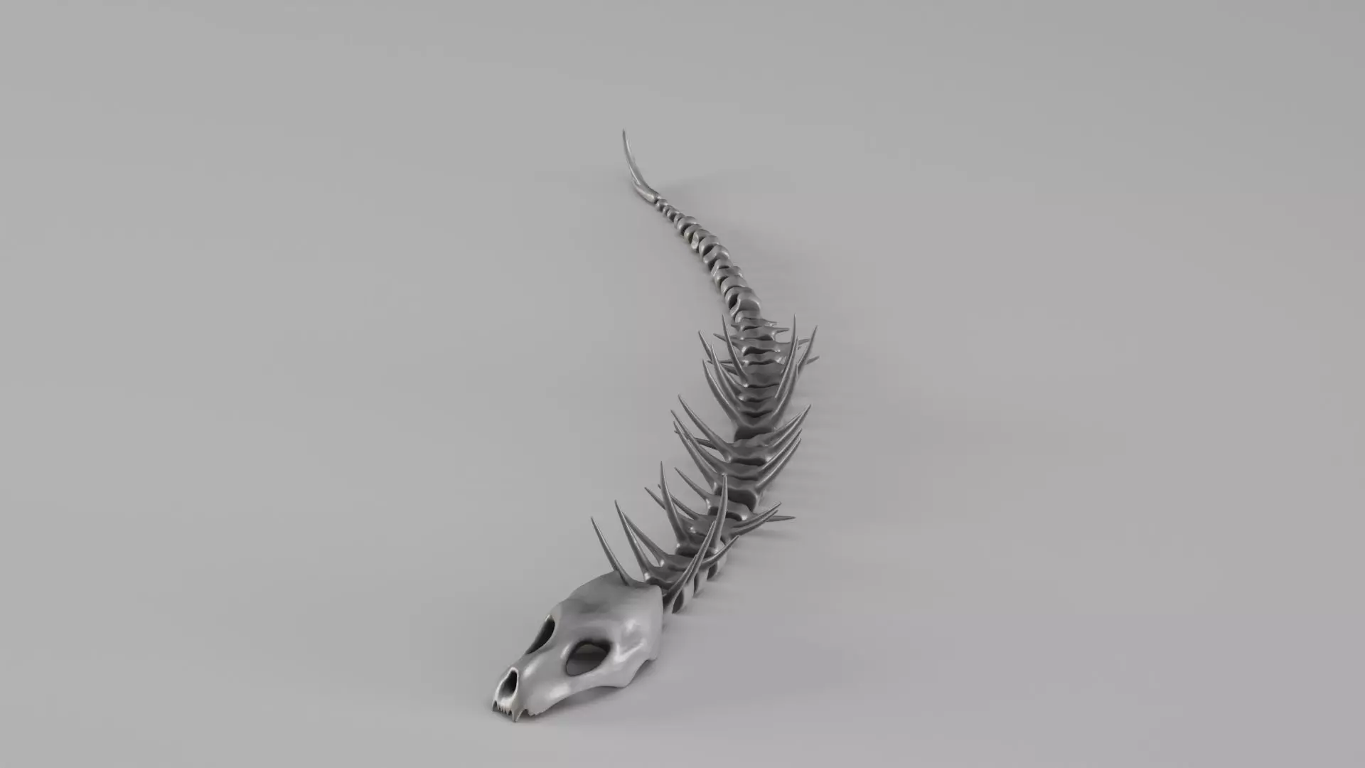 001661 Prehistoric Aquatic Creature Skeleton 3D print model_3