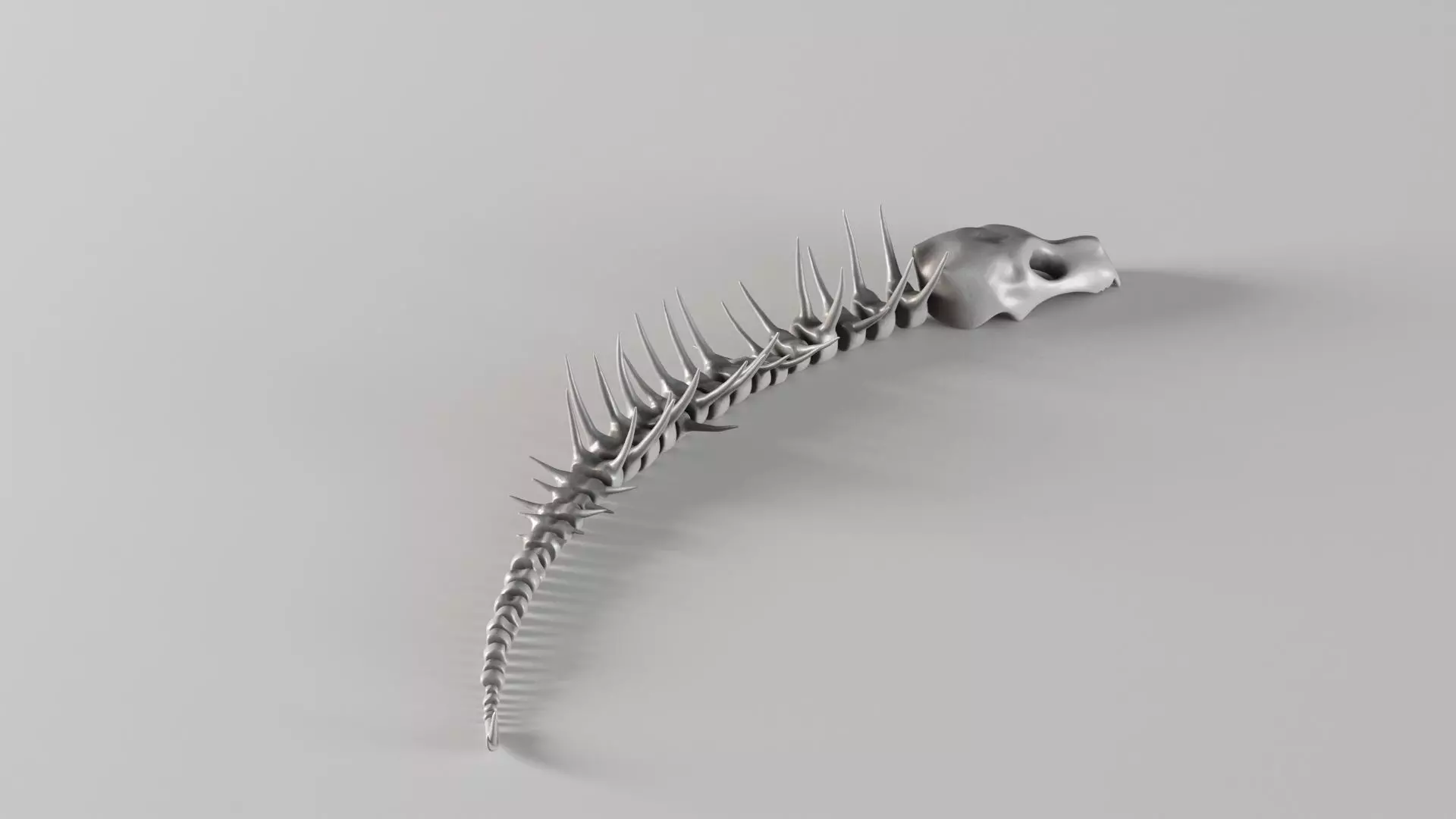 001661 Prehistoric Aquatic Creature Skeleton 3D print model_13