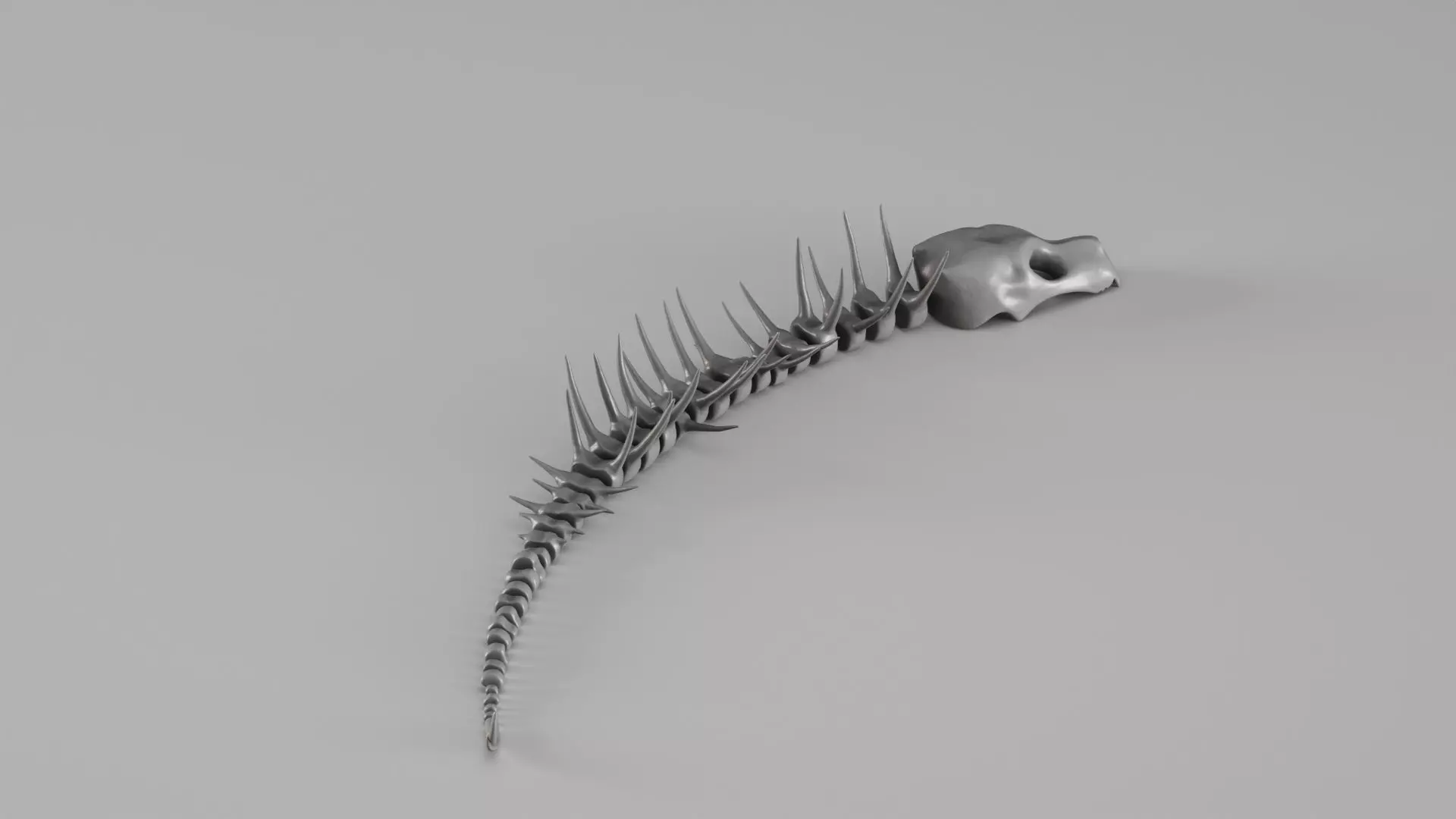 001661 Prehistoric Aquatic Creature Skeleton 3D print model_6