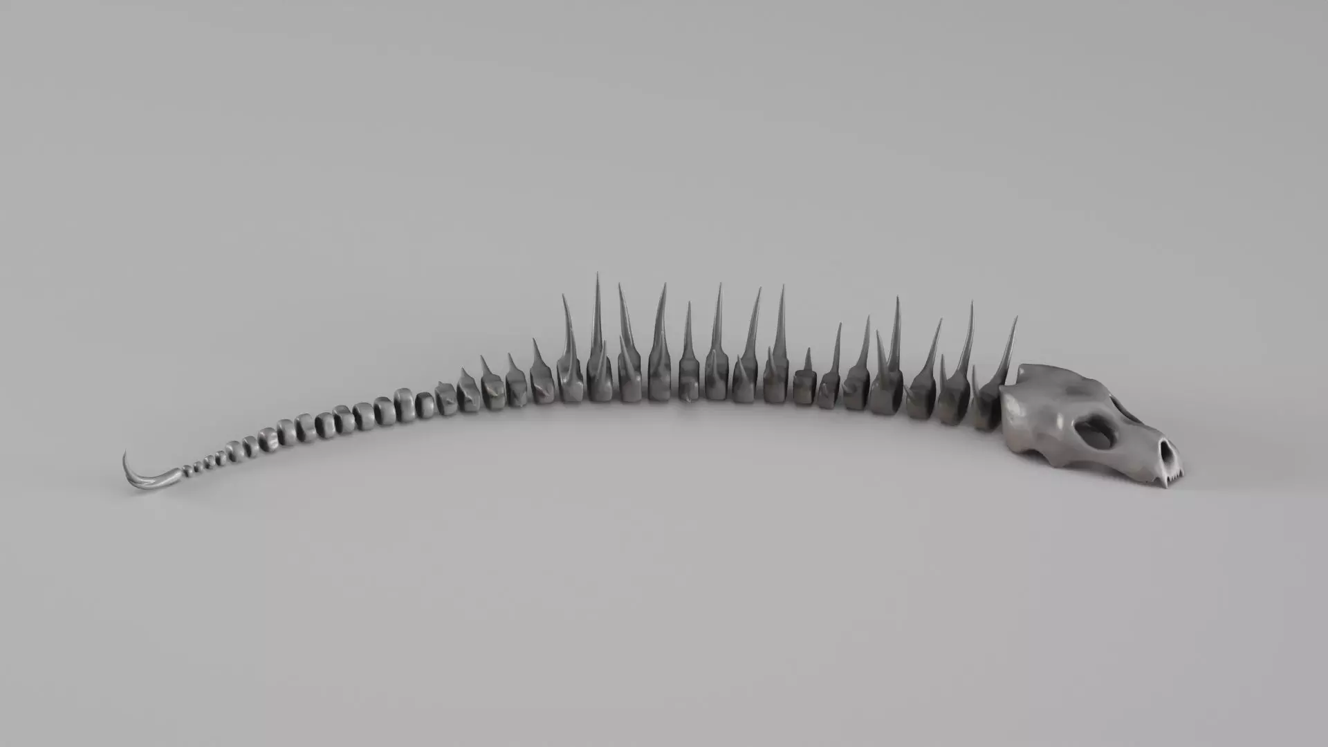 001661 Prehistoric Aquatic Creature Skeleton 3D print model_7