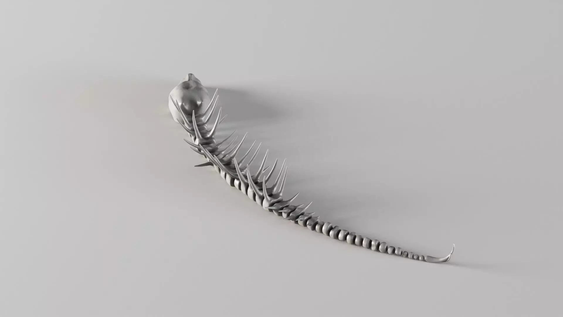 001661 Prehistoric Aquatic Creature Skeleton 3D print model_12