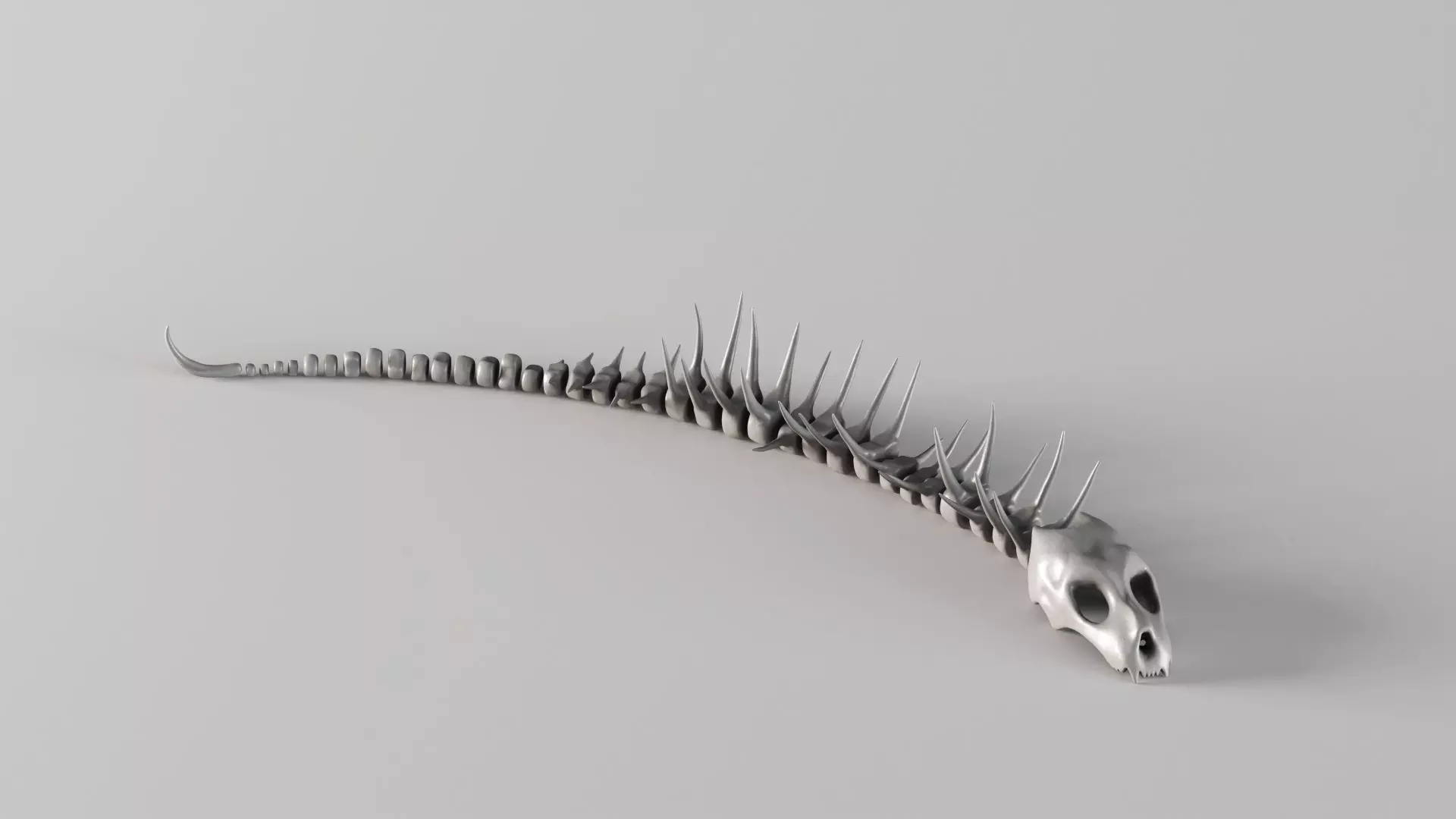 001661 Prehistoric Aquatic Creature Skeleton 3D print model_8