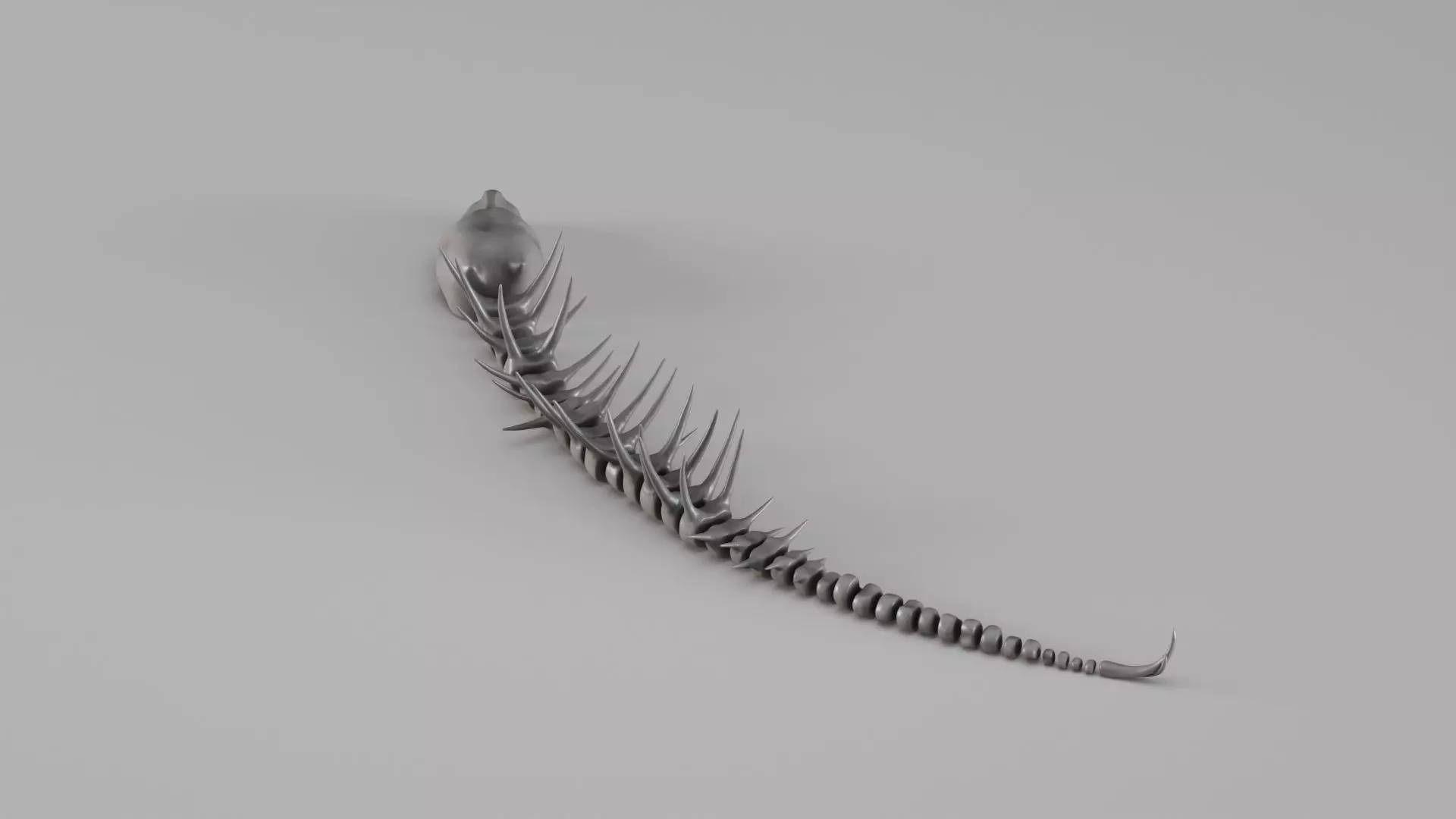 001661 Prehistoric Aquatic Creature Skeleton 3D print model_5