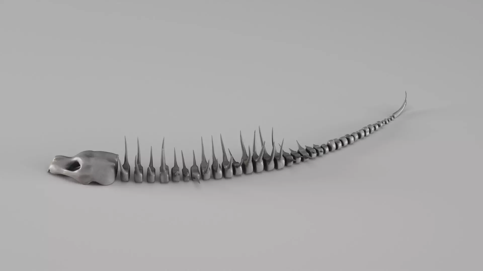 001661 Prehistoric Aquatic Creature Skeleton 3D print model_4