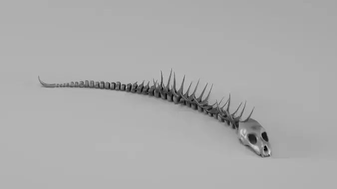 001661 Prehistoric Aquatic Creature Skeleton 3D print model