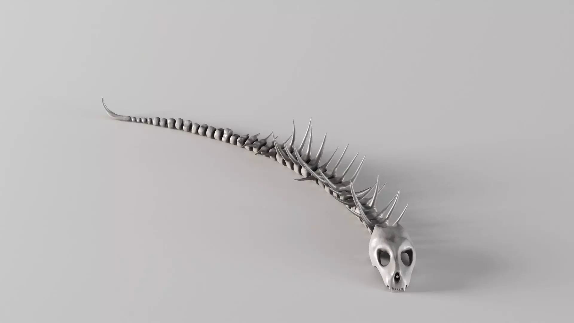 001661 Prehistoric Aquatic Creature Skeleton 3D print model_9