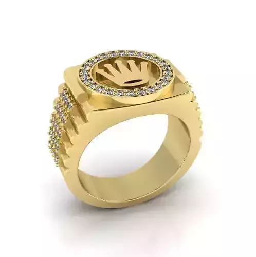 Ring Model 8086