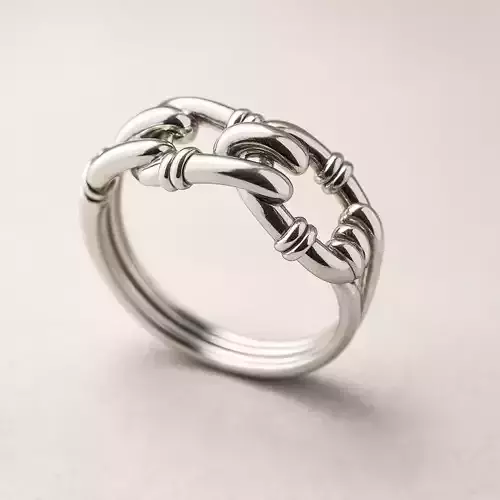 Ring chain Model 8074 3D print model