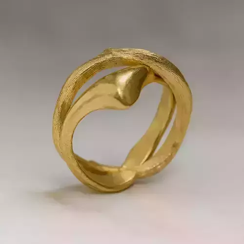 Ring Model 8062