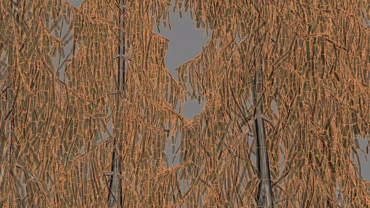 picea breweriana low poly Low-poly 3D model_7