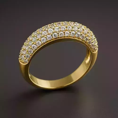 Ring Model 8096