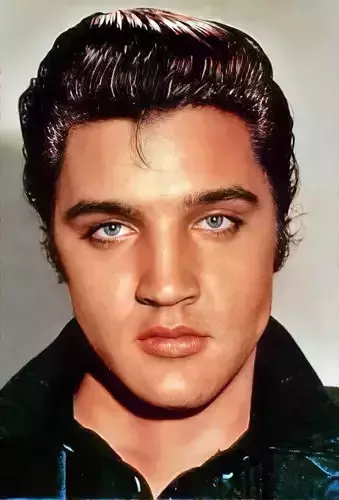Elvis Presley 3D model bust