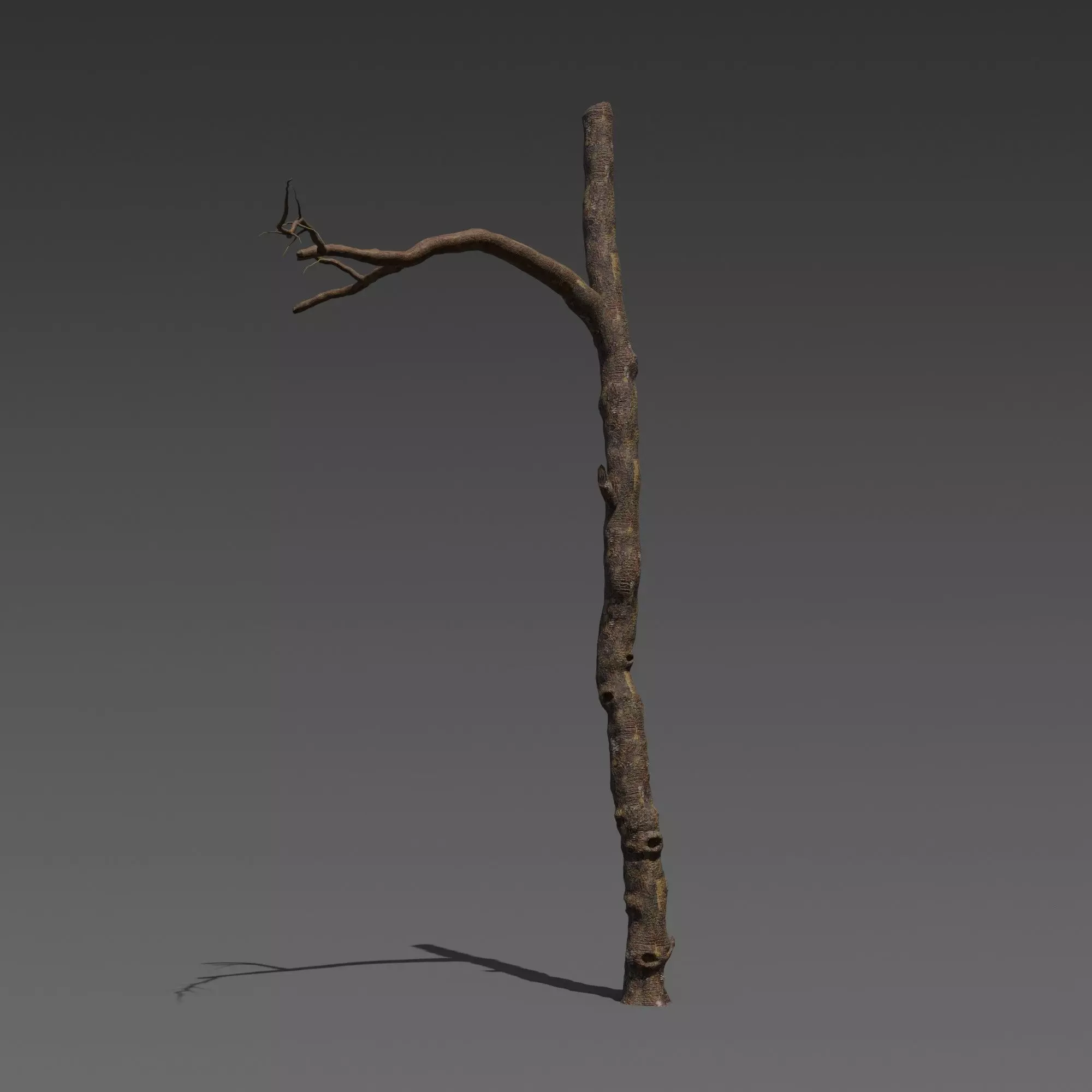 3 Stylized Dead Tree Free 3D model_3