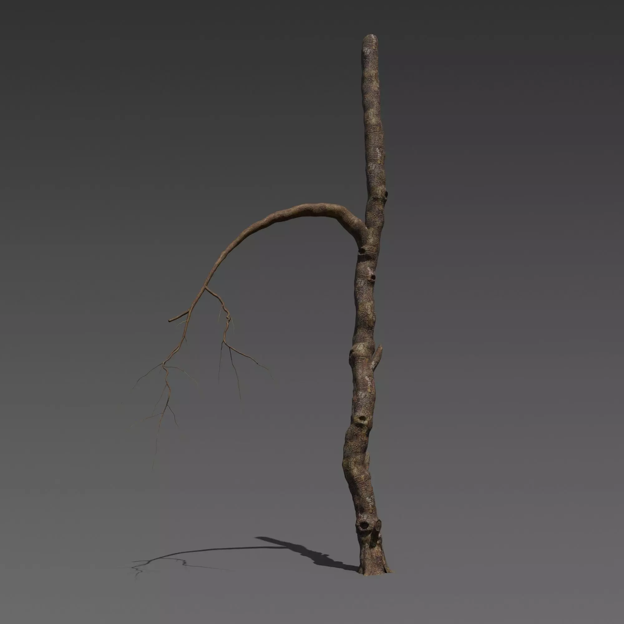 3 Stylized Dead Tree Free 3D model_2