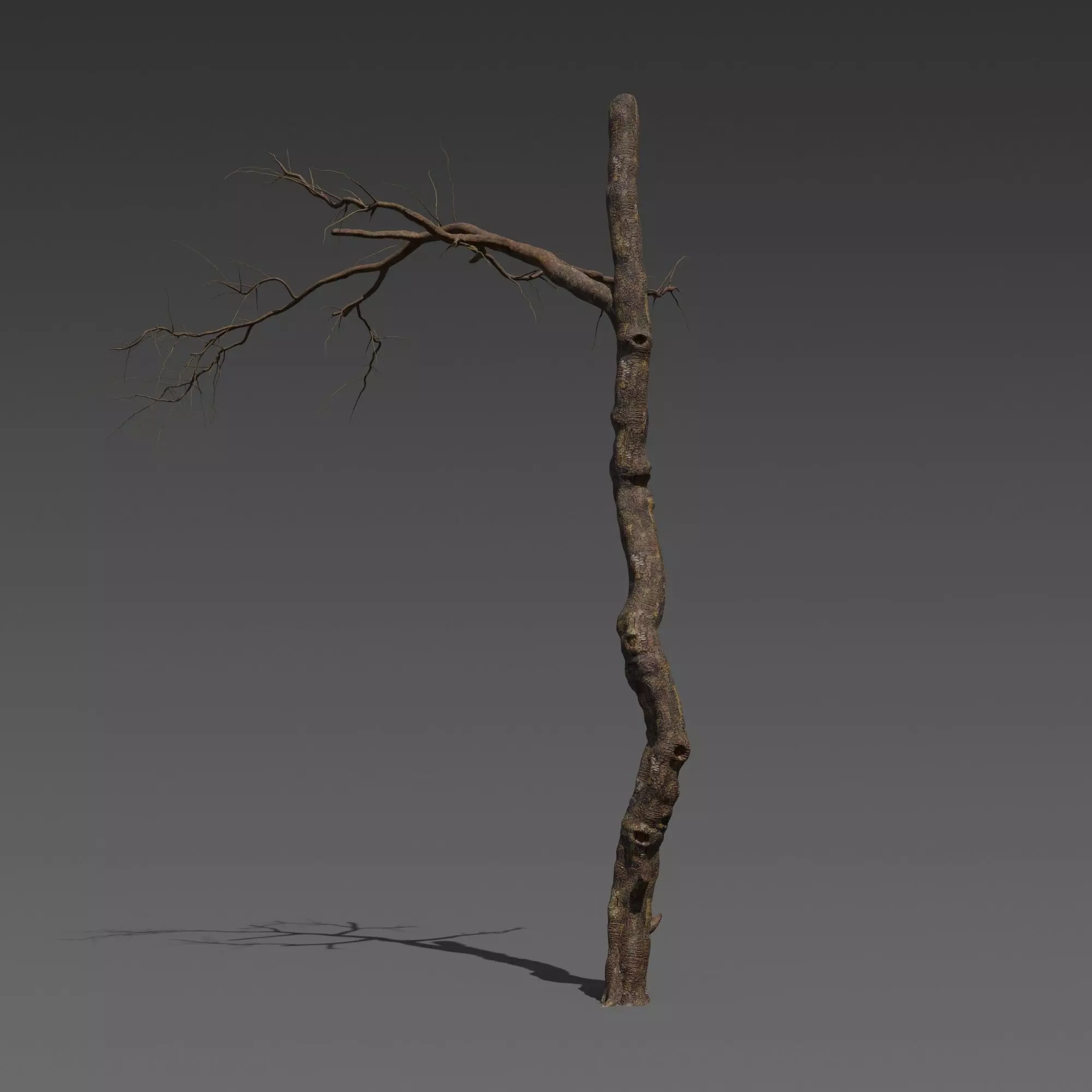3 Stylized Dead Tree Free 3D model_1