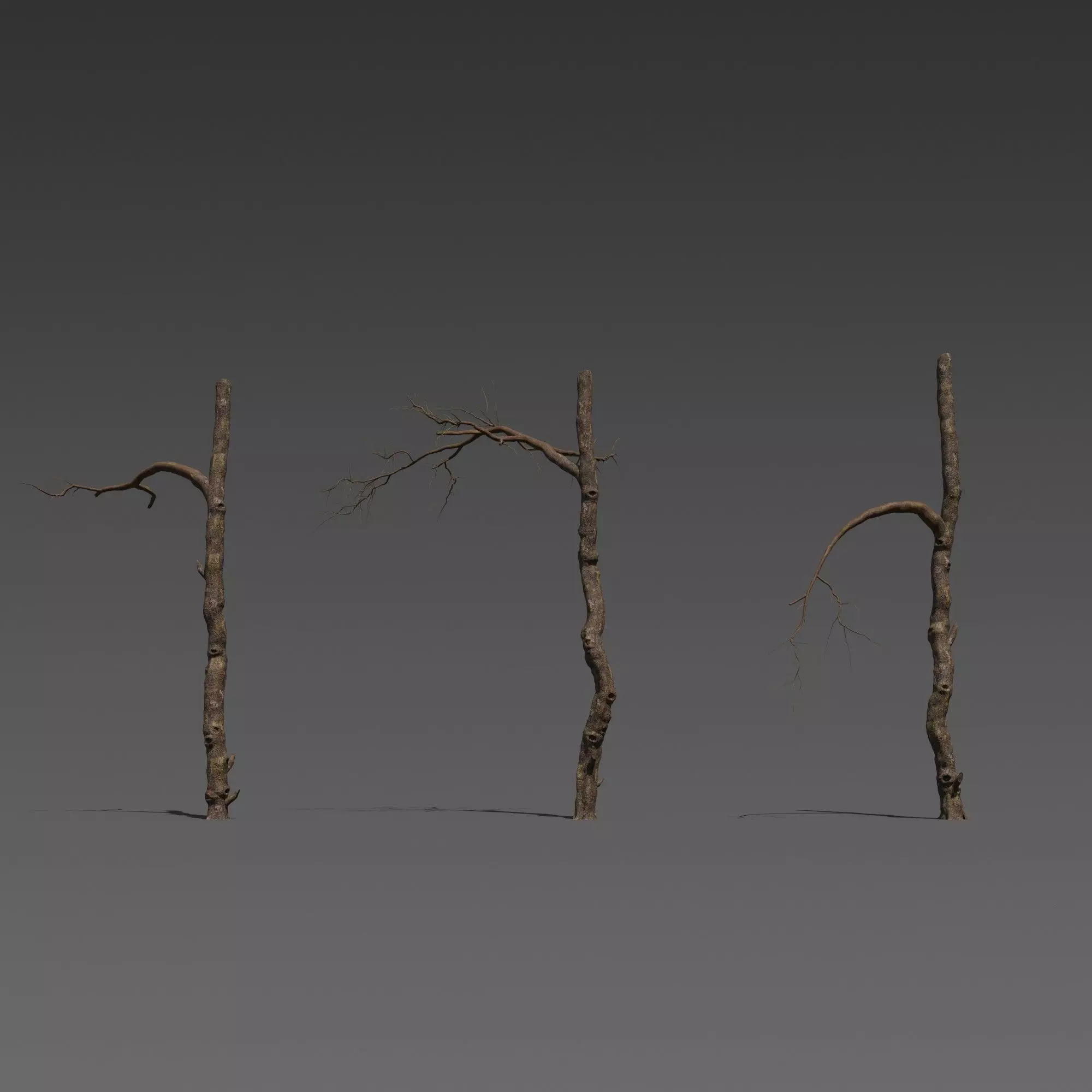 3 Stylized Dead Tree Free 3D model_0